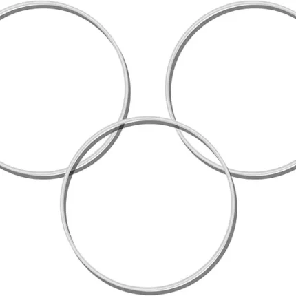 3pcs Hummingbird Feeder Original Replacement Part Seal Rings, 4.53 Inch Diameter Silicone Rings Fittings Hummingbird Feeder Attachment Accessories Transparent