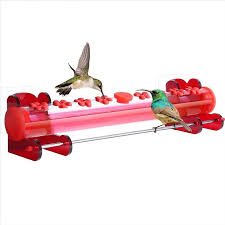 Window bird feeder