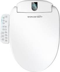 Bidet toilet seat