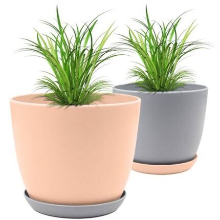 Bookwarm planter