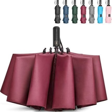 Windproof travel umbrella