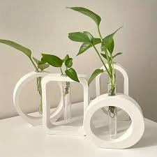 Plant propagation