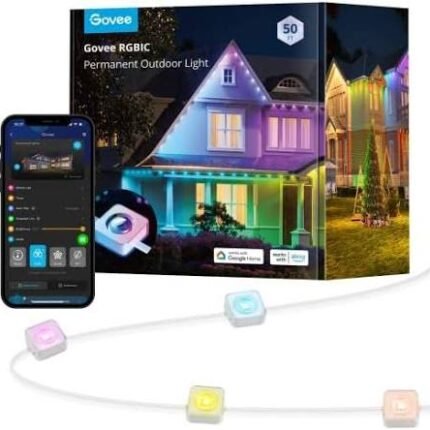Permanent Outdoor Lights