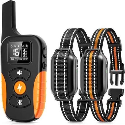 Dog shock collar