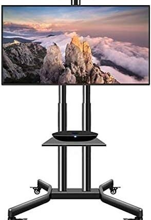 Mobile TV stand