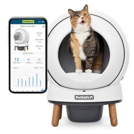 Cat cleaning litter box