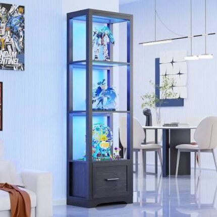 Display Cabinet with Glass Doors